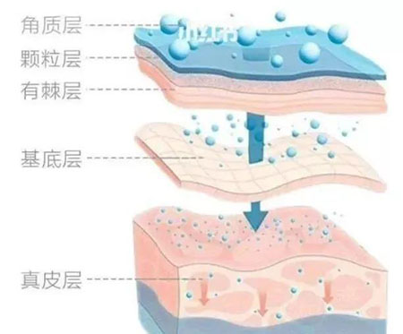 微信图片_20211202093713-1.jpg